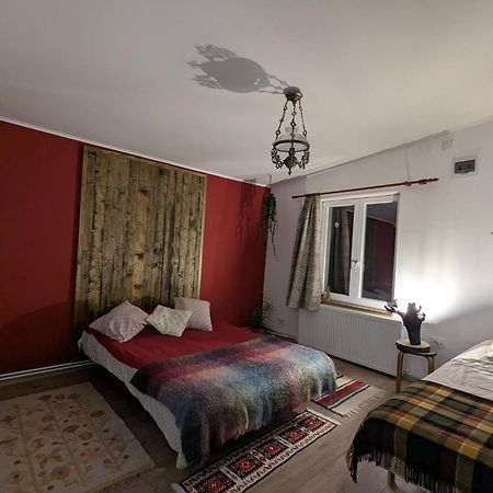 فيلا Casa Cedar Lupeni  المظهر الخارجي الصورة