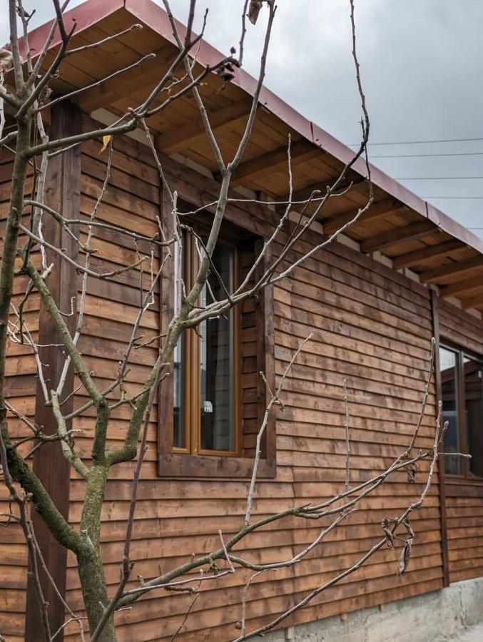 فيلا Casa Cedar Lupeni  المظهر الخارجي الصورة