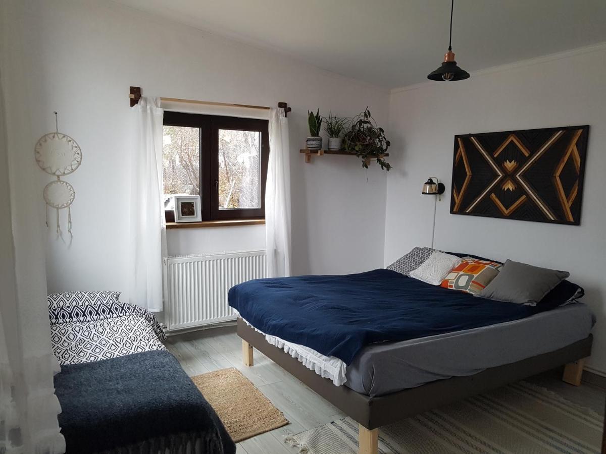 فيلا Casa Cedar Lupeni  المظهر الخارجي الصورة