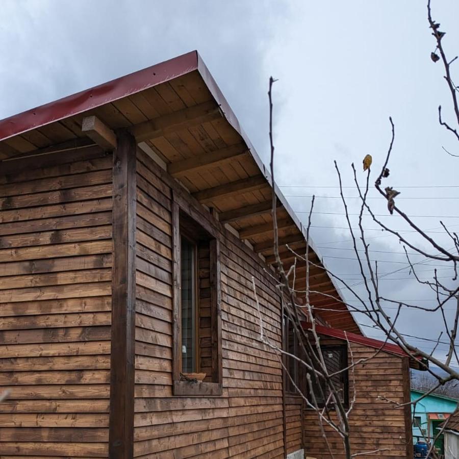 فيلا Casa Cedar Lupeni  المظهر الخارجي الصورة